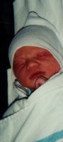 4 hours old