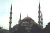 turkey5.jpg (19152 bytes)